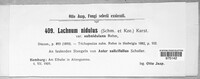 Lachnum nidulus image